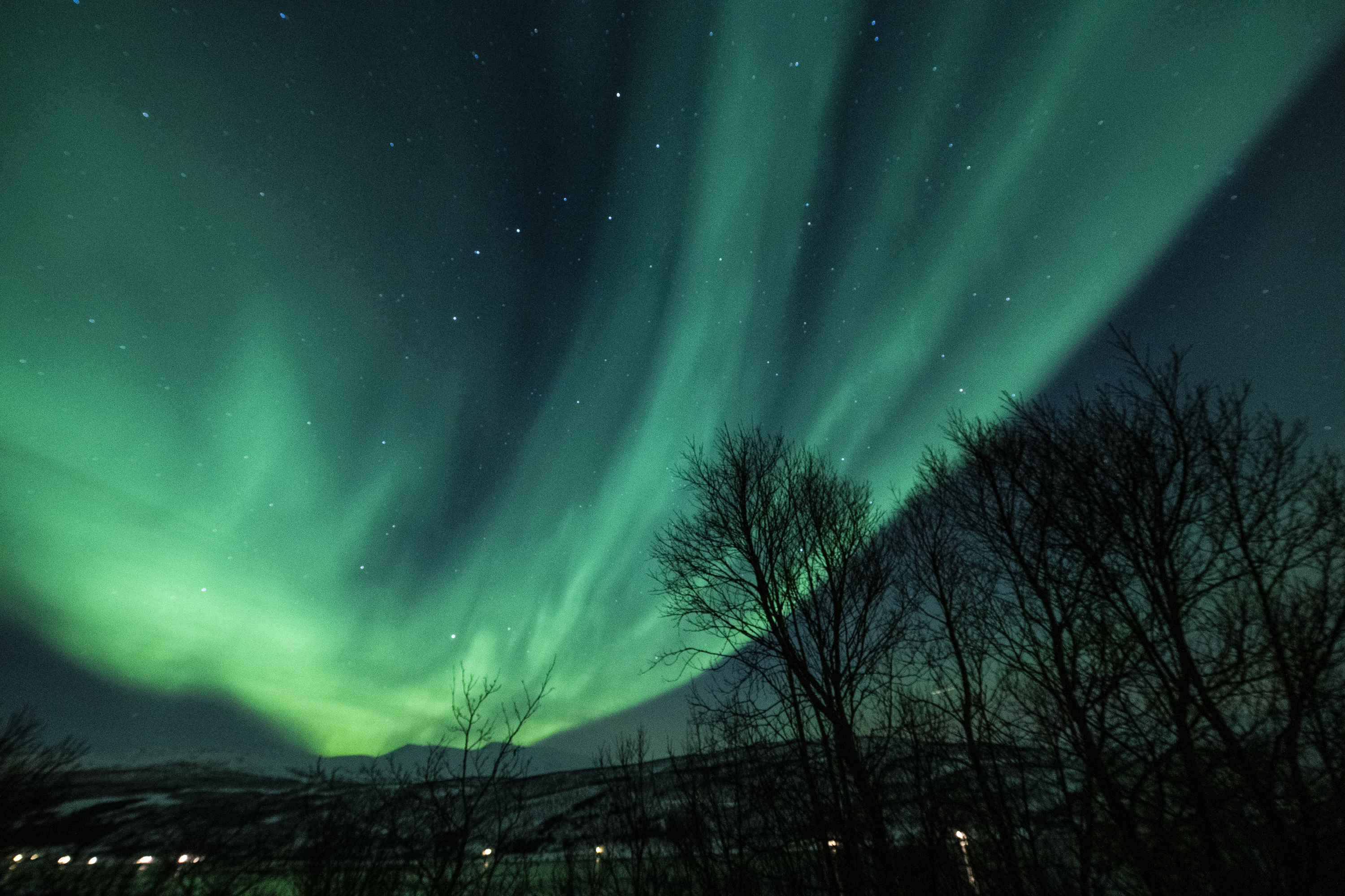 Aurora 13