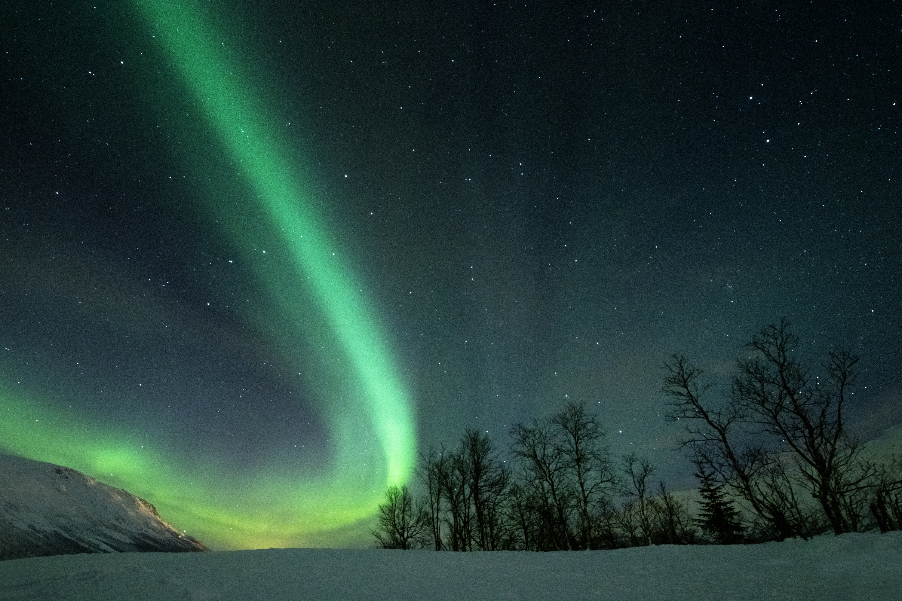 Aurora 8