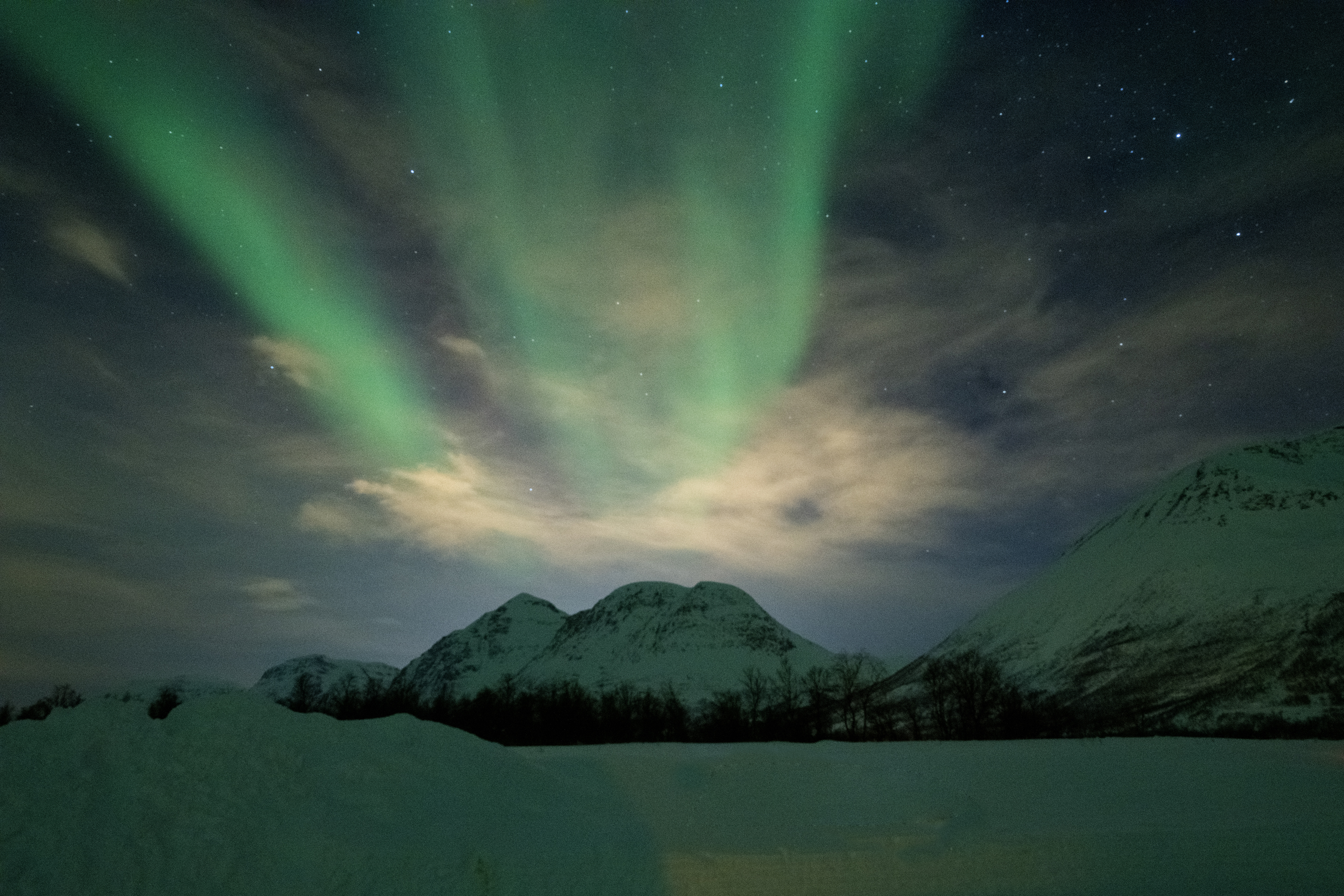 Aurora 11