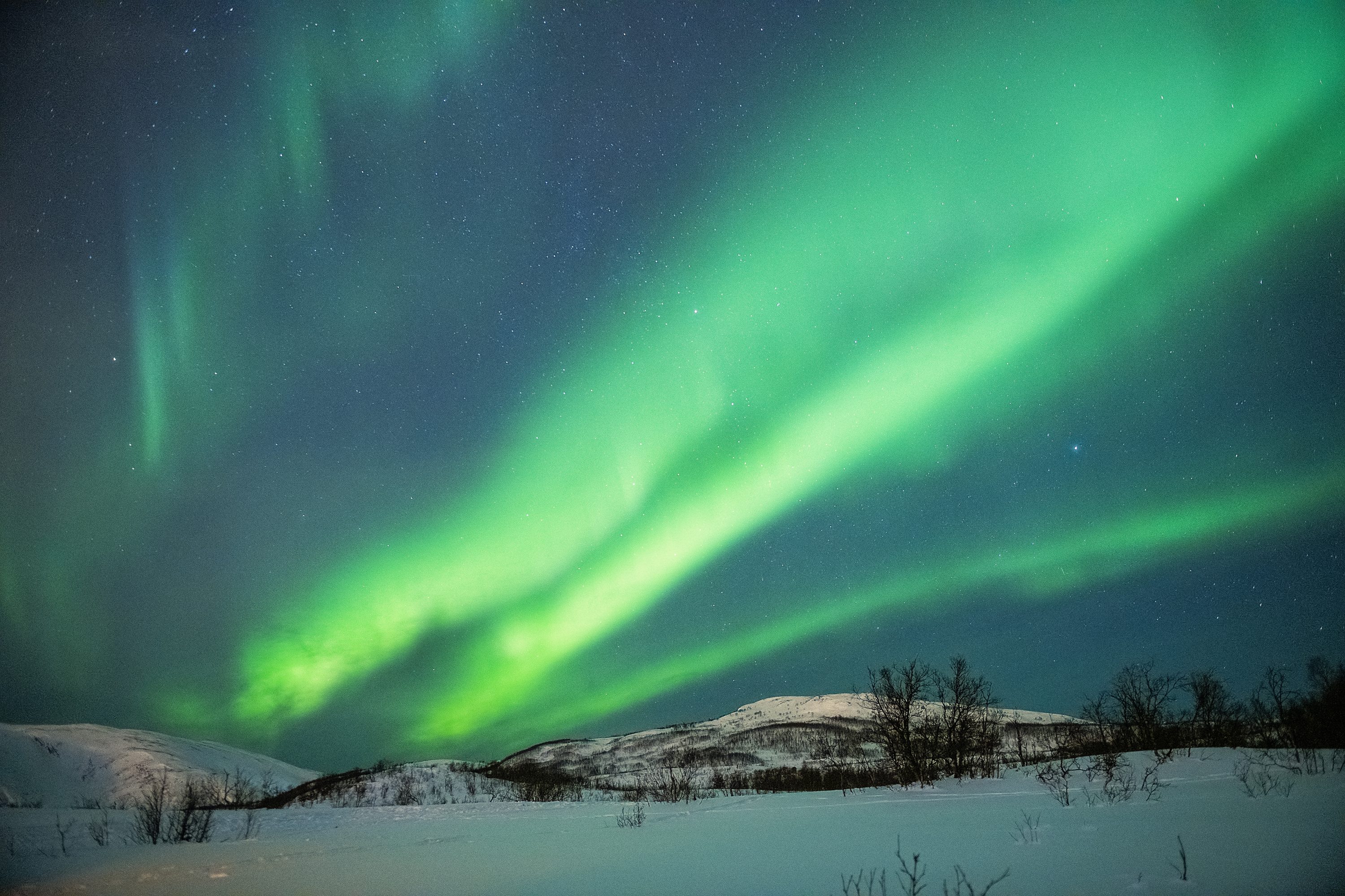 Aurora 14