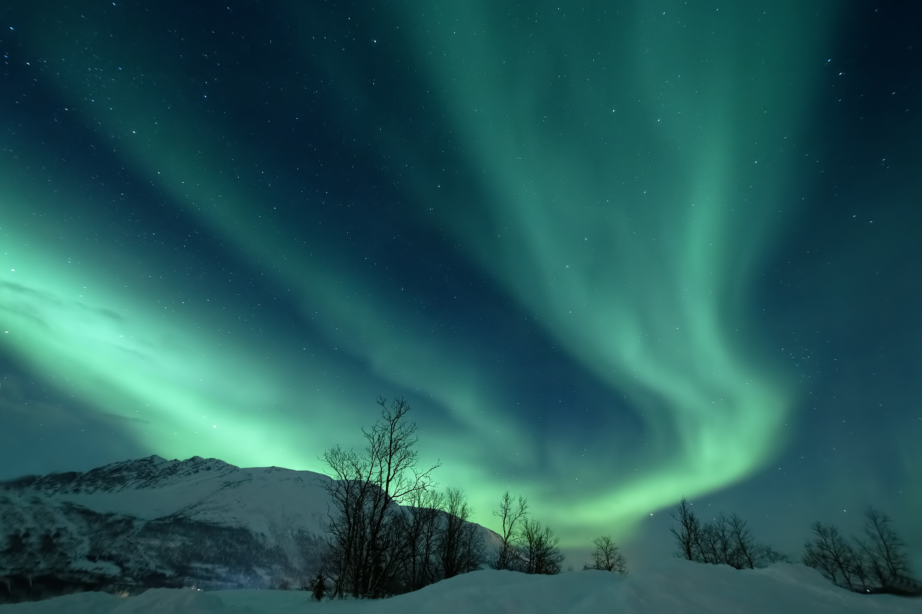 Aurora 10