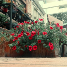 Casa Flor (16).jpeg