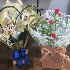 Casa Flor (10).jpeg