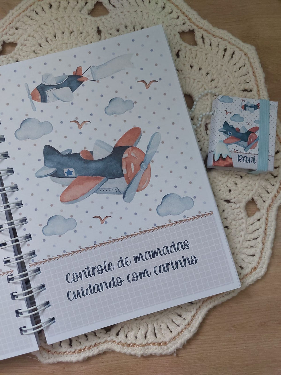 Miniatura: Caderneta de Saúde Transporte Aéreo