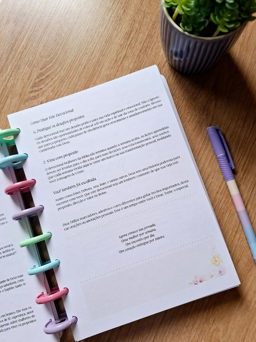 Miniatura: Lovedisc Devocional Mulheres da Bíblia