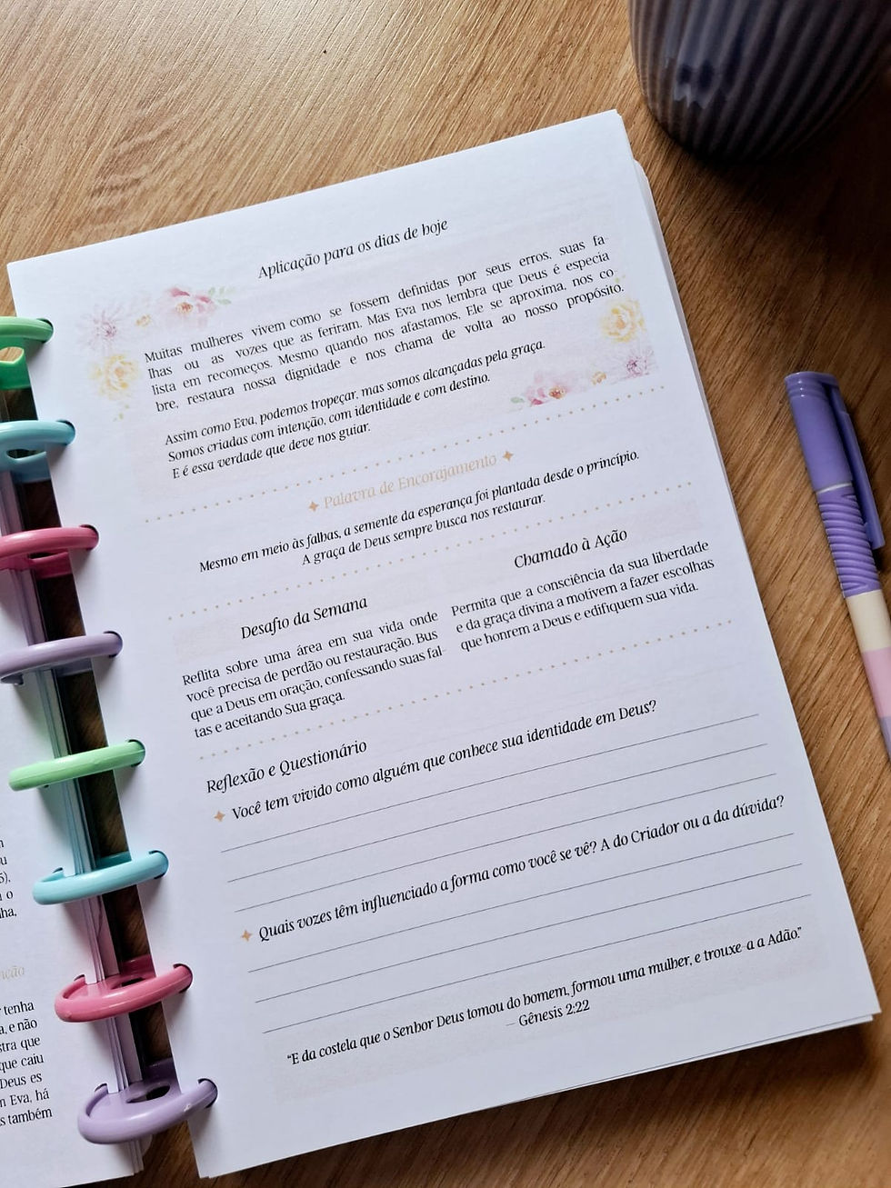 Miniatura: Lovedisc Devocional Mulheres da Bíblia