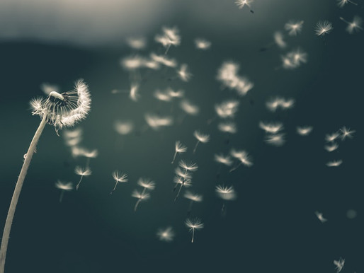 2020 – Disentanglement and Letting Go