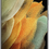 תמונה ממוזערת: Samsung Galaxy S21 Ultra 512GB 5G יבואן רשמי