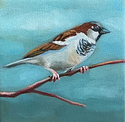 Chit-Chatter-1-Sparrow.jpg
