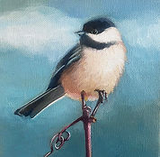 Out-on-a-limb-chickadee-6x6.jpg