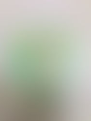 The Daily Watercolour,