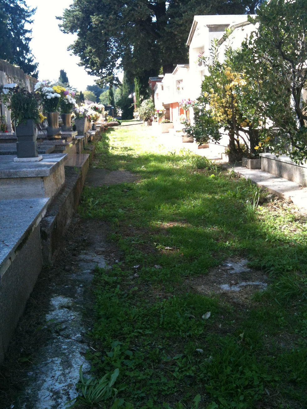 Cimitero Velletri - 19
