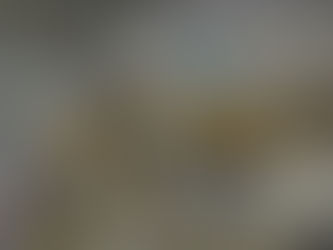 Insta360 拍 I-Log 只要設對這幾項,後期一鍵出好看顏色 LUT 免費下載