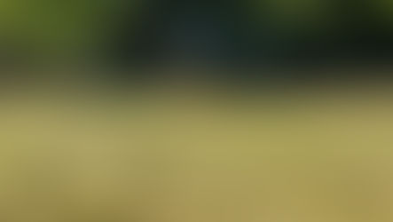 Пальне в агробізнесі: новий рівень контролю та перевірок