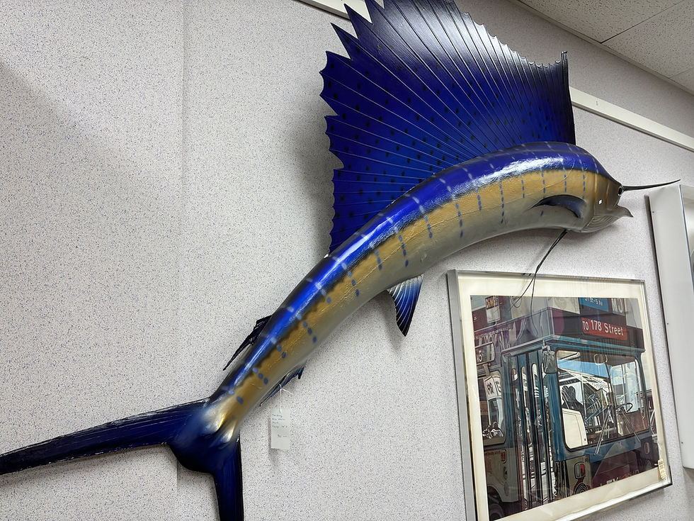 Thumbnail: Taxidermy Blue Marlin Mount