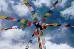 tibetan flags RZ