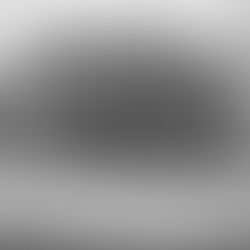 A Throwback Thursday to Remember