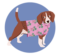 alohashirts.png