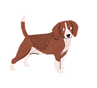 born.png