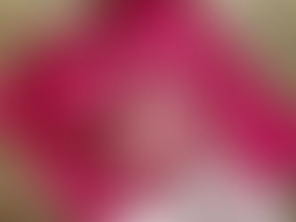 太陽なしに花は咲かず愛なしに人は生きられない