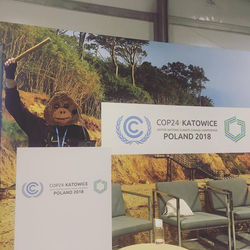 47571266_798068743858720_567610082702288