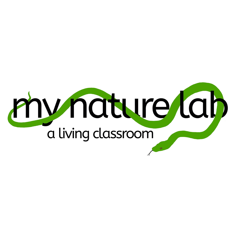 My Nature Lab