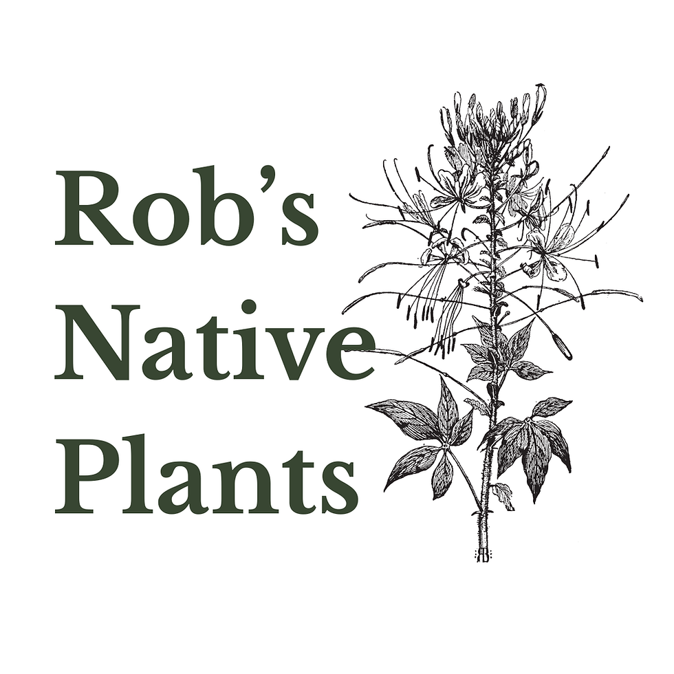 Rob's Native Plants
