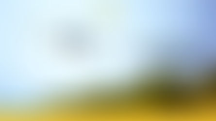 Airplane flying over palm-lined beach under clear sky. "How Journey Cart Holidays Ensures Quality and Customer Satisfaction" text in view.