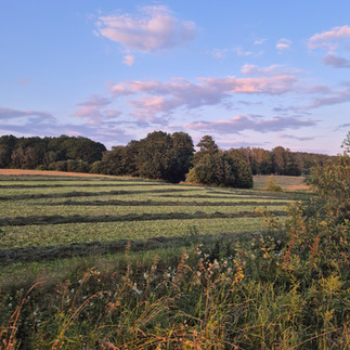 Livada u jek leta / Klippan