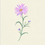 Thumbnail: Wild Aster