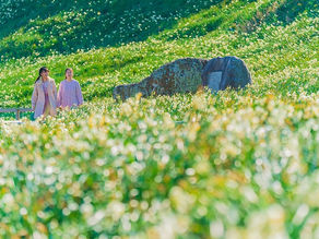 Go To トラベルキャンペーン併用可!宿泊予約で下田観光商品券をゲットしよう(*´▽`*)