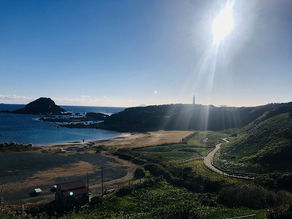 第56回 水仙まつり開催します!