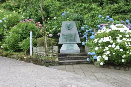 下田あじさい祭開花状況~3分咲き~-2010/06/09-