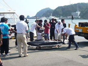 第30回 国際カジキ釣り大会 -大会3日目(最終日)の模様-