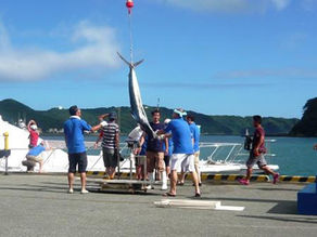 第31回 国際カジキ釣り大会 -大会3日目(最終日)の模様-