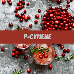 P-cymene Terpene Isolate | Terp Topia