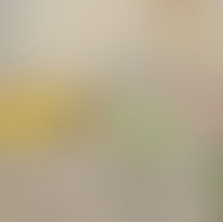 Achtung, fertig, los!