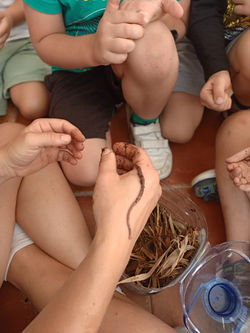 TALLER DE COMPOSTAJE