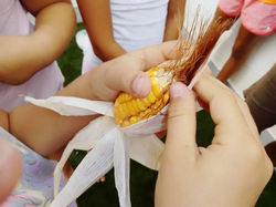 CONOCIENDO VEGETALES