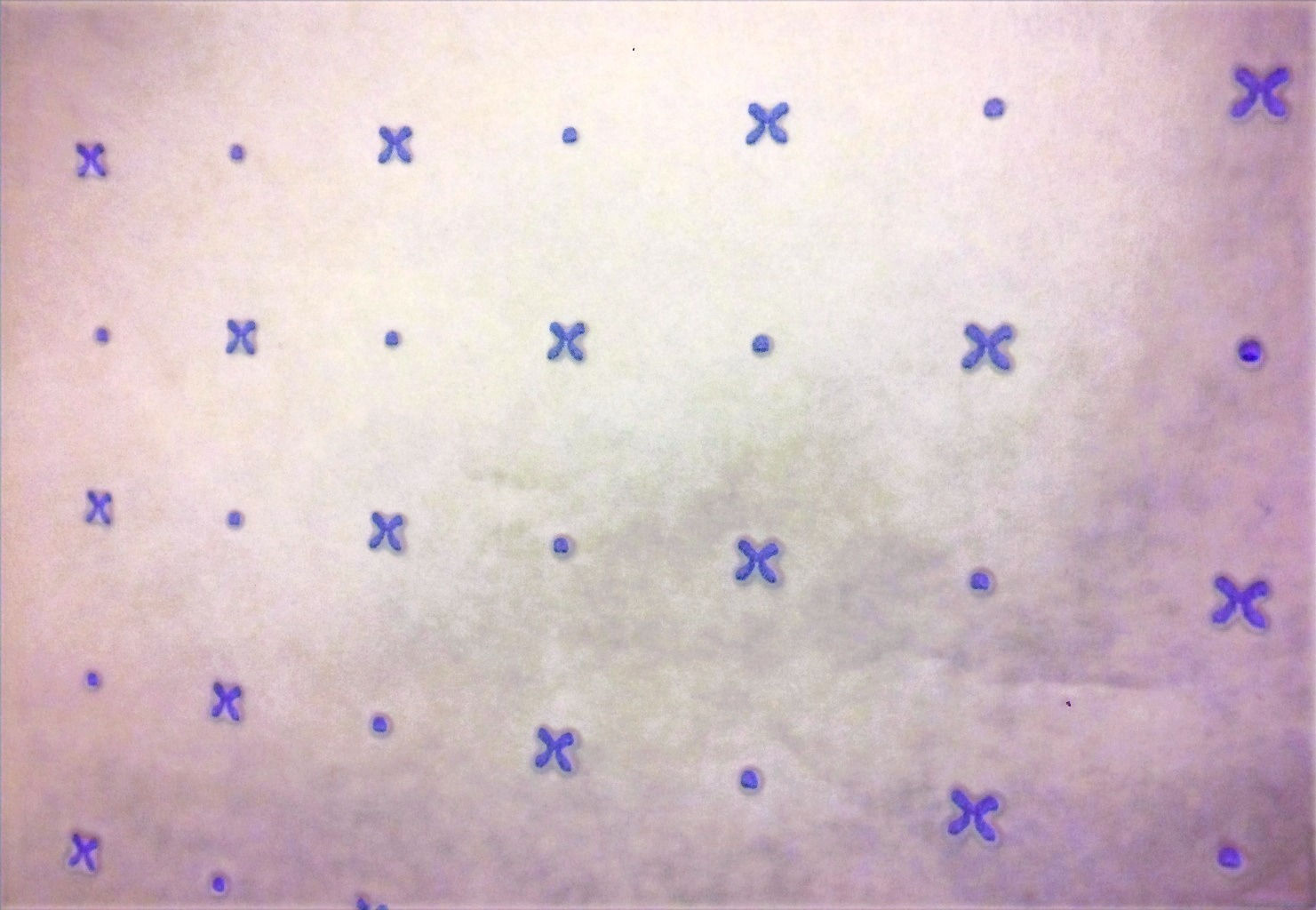 Dot & Cross Pattern Paper