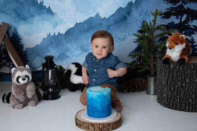 Photo of a little boy in front of a mountain back drop with forest animal stuffies