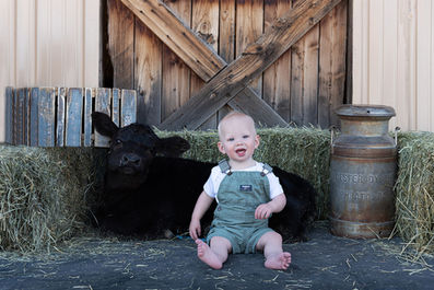 Photo of a little boy in green overalls sitting next to a calf and bales of hay