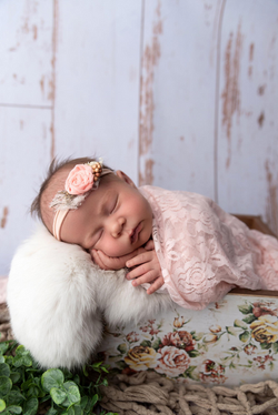 Colorado Springs Newborn Photographer