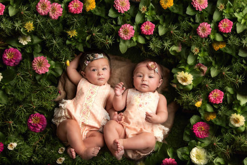Twin baby girls in a bed of greenery and pink and yellow flowers