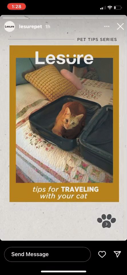 Lesure_travelcat_gif.gif