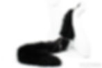 Thumbnail: black cat tail butt plug