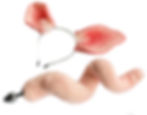Thumbnail: pig tail plug