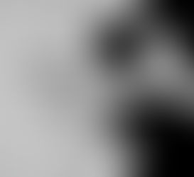 Elegancia y Estilo...