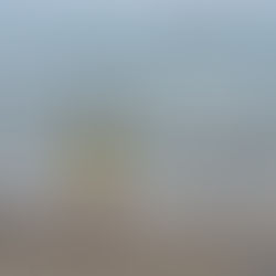 Actividades para un dia libre