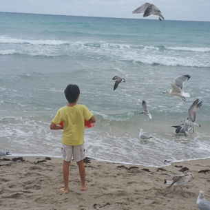 Actividades para un dia libre